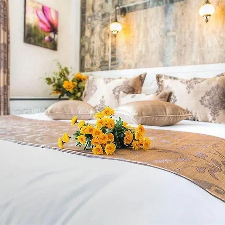 Hotel Elegance 4*