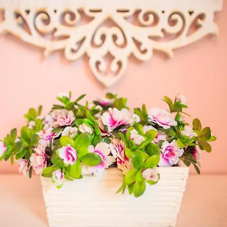 Elegance اسطنبول