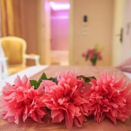 Elegance اسطنبول