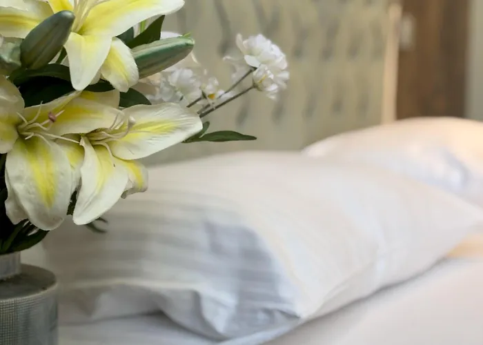 Elegance Hotel Stambuł