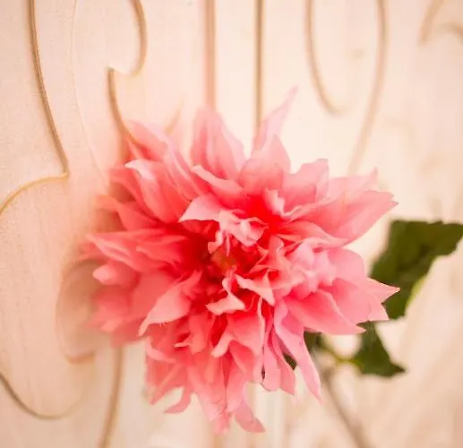 Hotel Elegance Stambuł