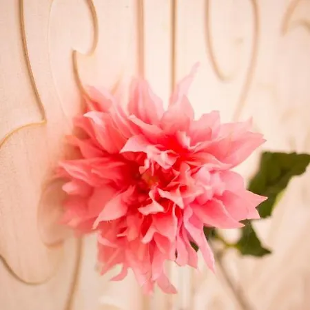 מלון Elegance איסטמבול